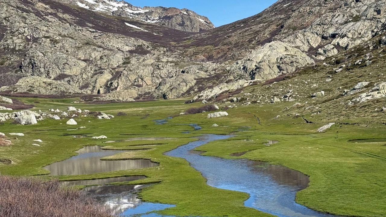 Photo of Others in Bastelica