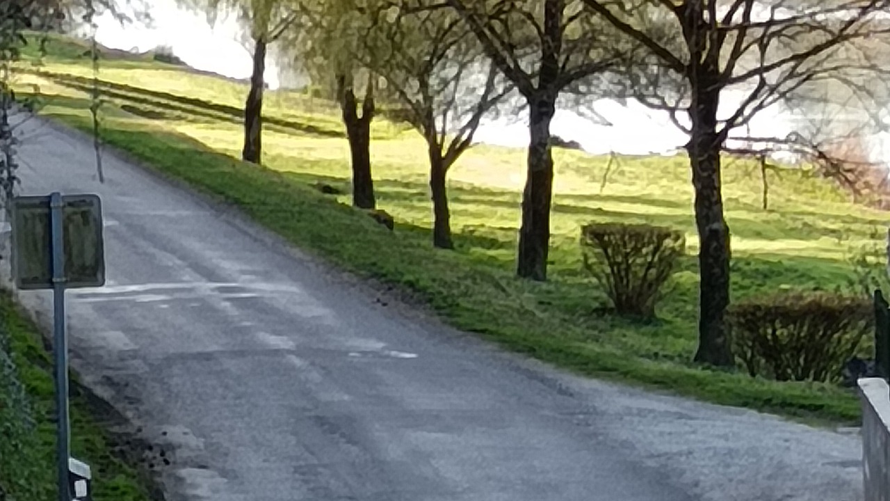 Photo of Others in Apremont