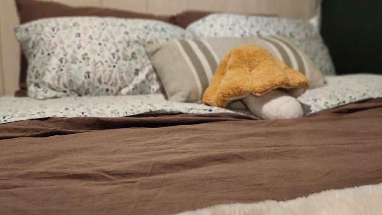 Photo of Bedroom in Mannford