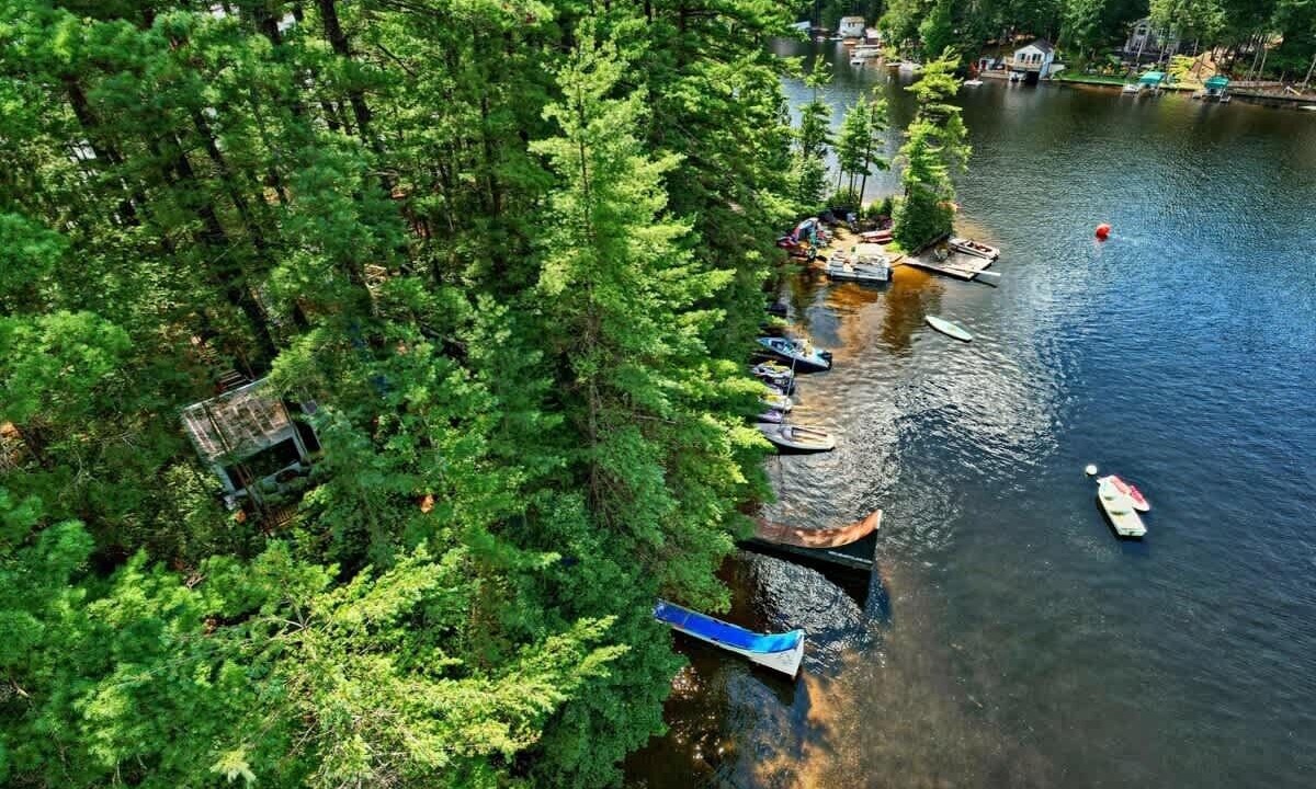 Photo of Others in Brantingham