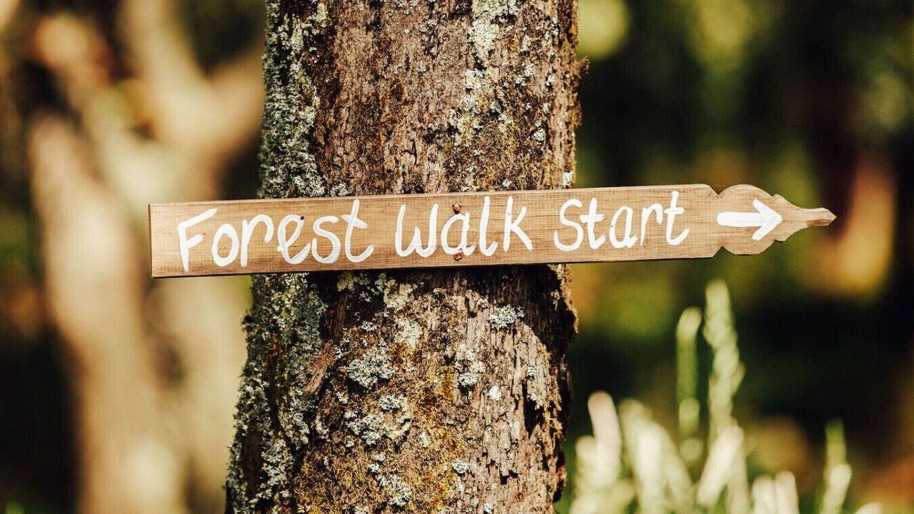 Photo of Others in Bullarto South