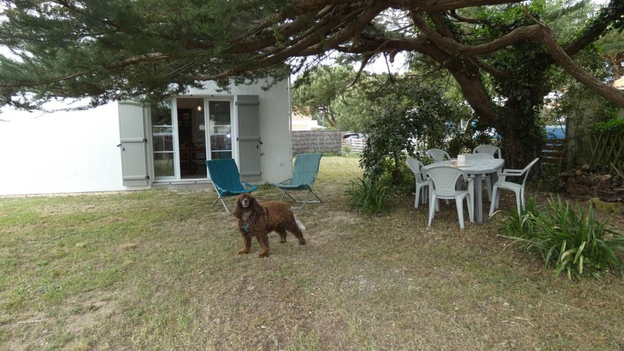 Photo of Outdoor in Notre-Dame-de-Monts