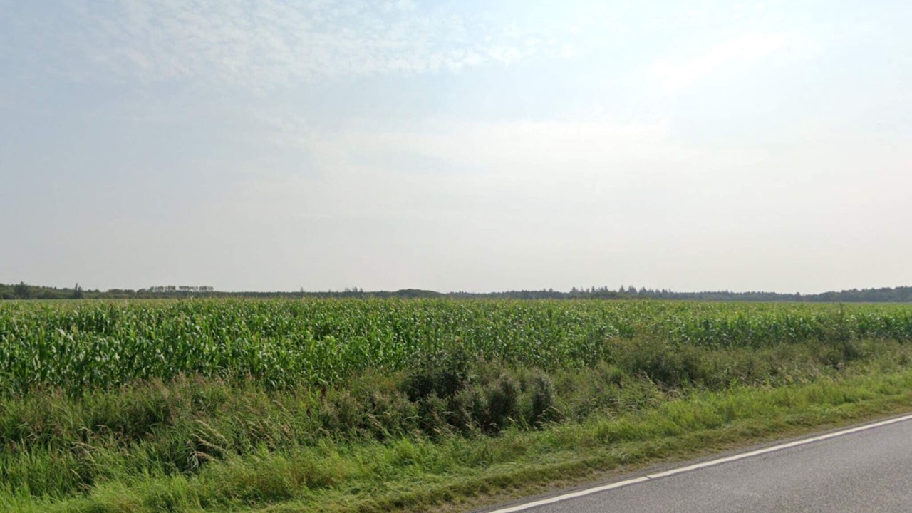 Photo of Others in Skaerbaek