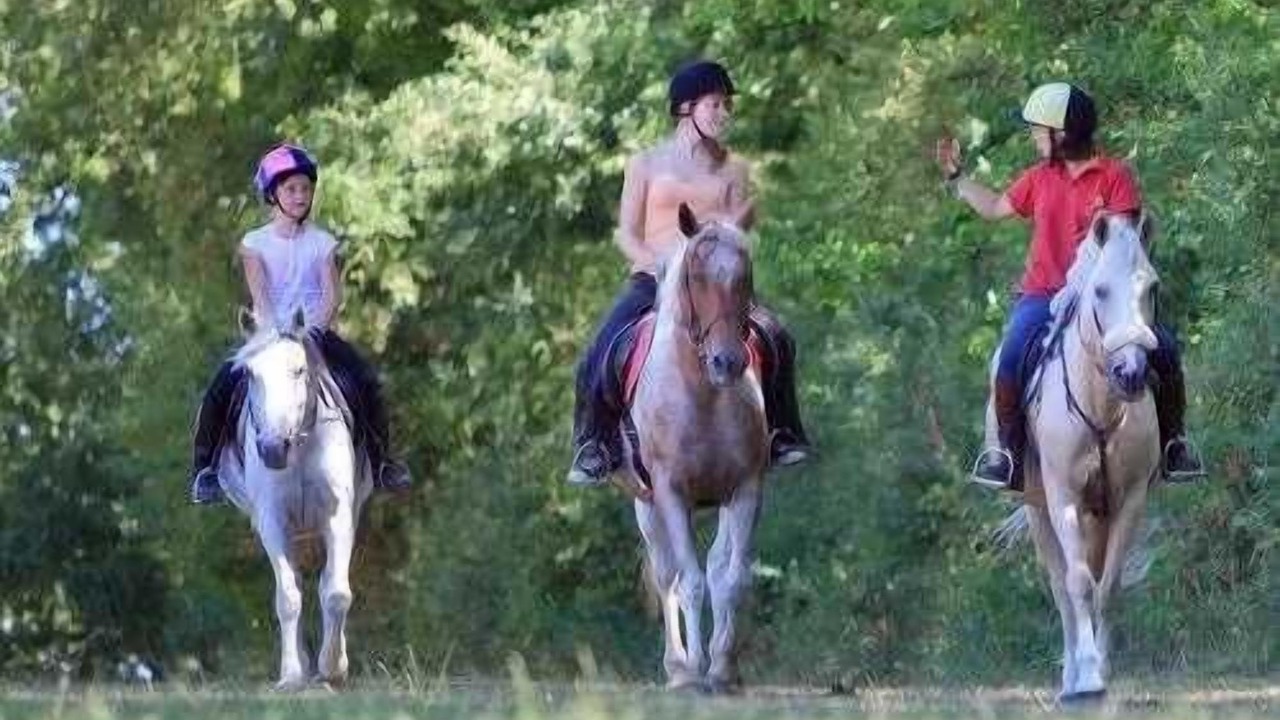 Photo of Others in Saint-Julien-des-Landes