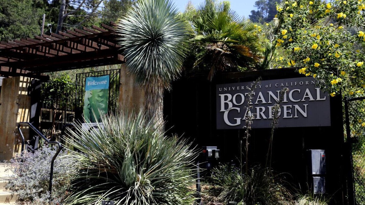 Photo of Outdoor in Berkeley