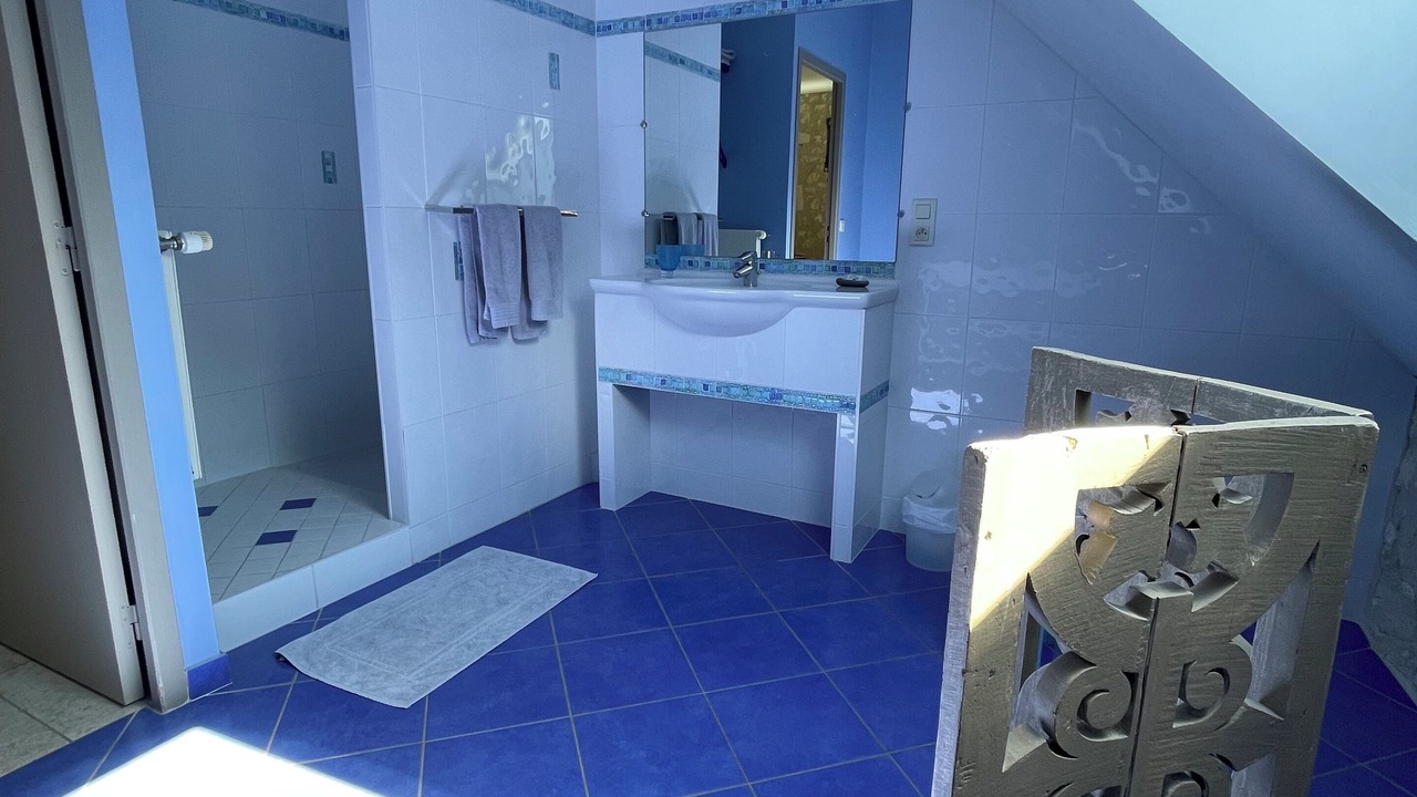 Photo of Bathroom in Saint-Jean-Saint-Germain