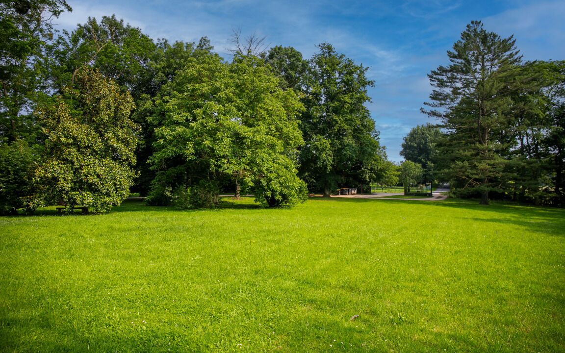 Photo of Others in Ars-sur-Formans