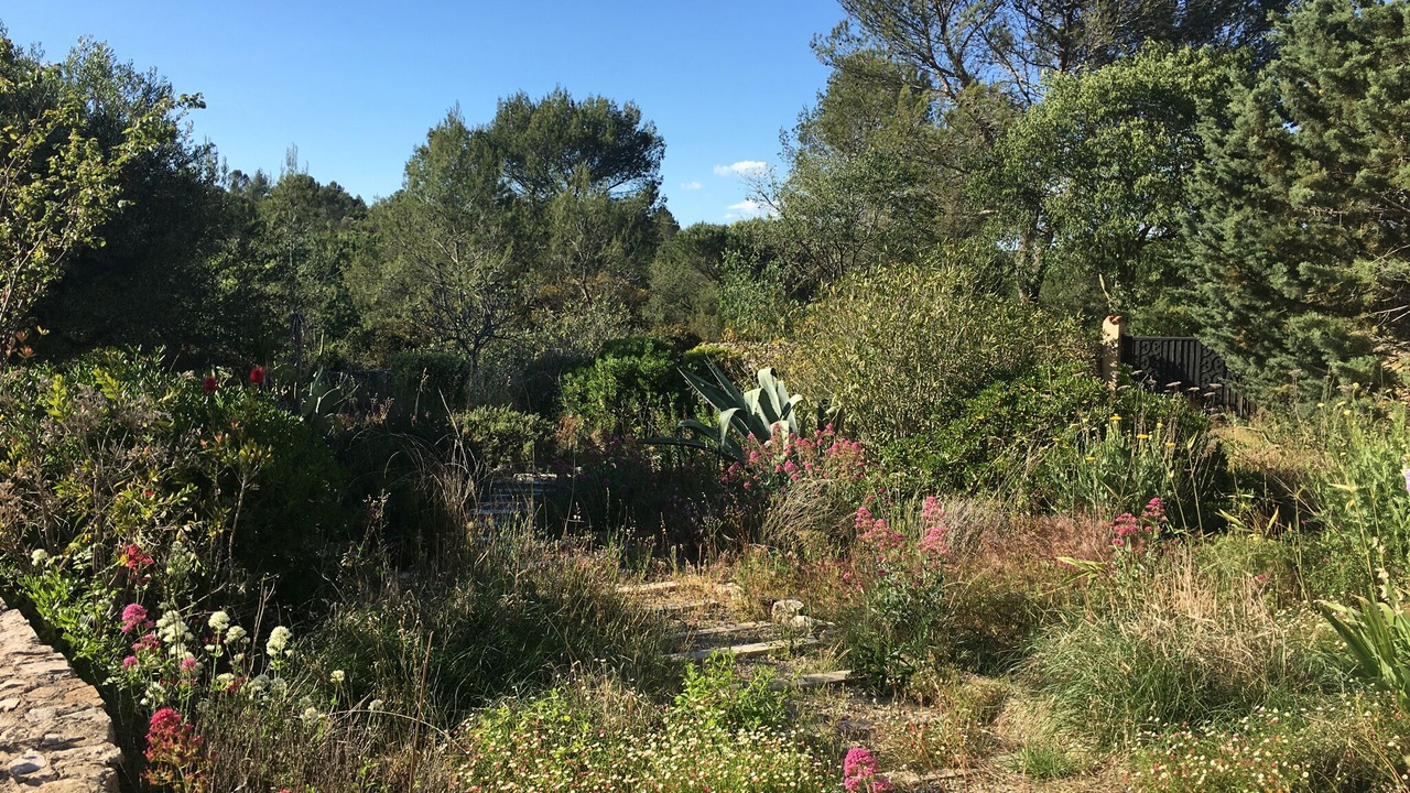 Photo of Outdoor in Aubais