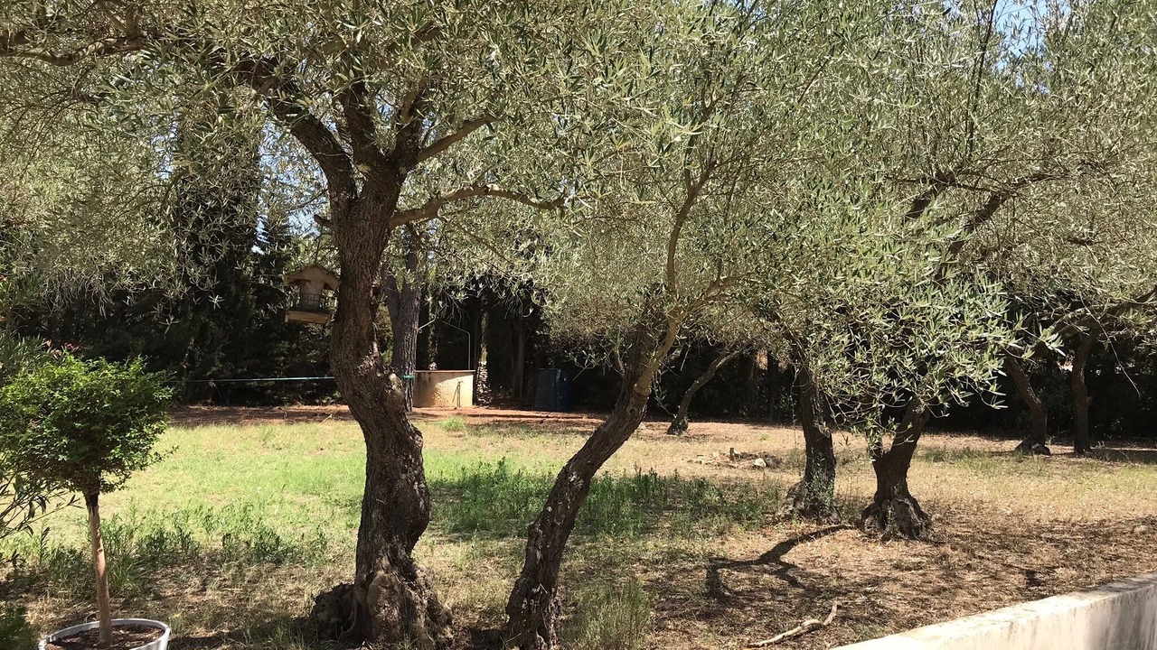 Photo of Outdoor in Aubais