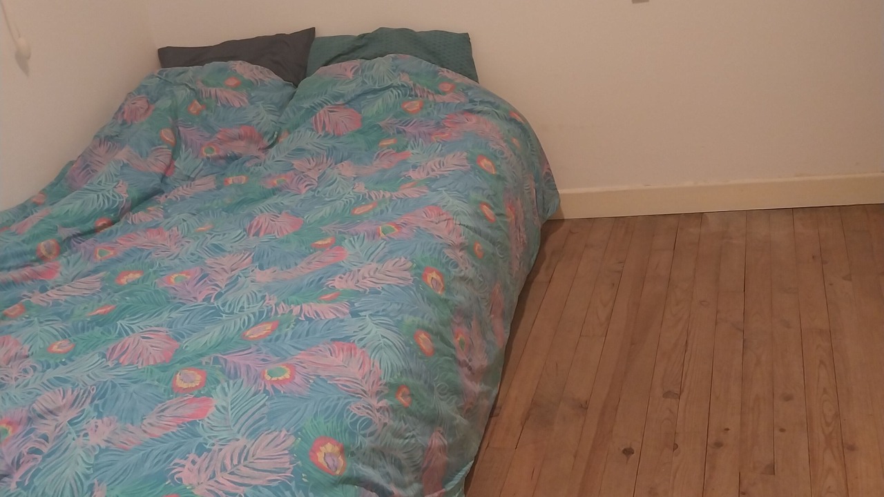 Photo of Bedroom in Lavelanet