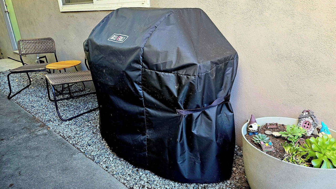 Photo of Outdoor in Seabright