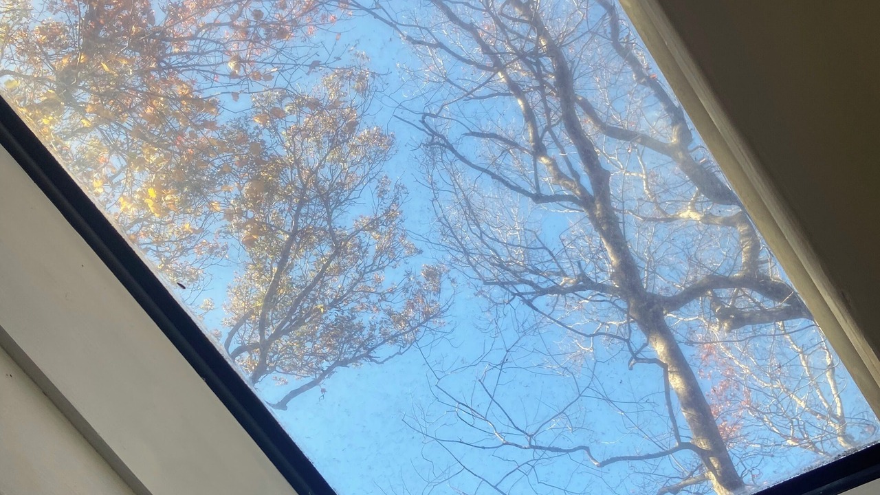 Photo of Others in Woodcliff Park