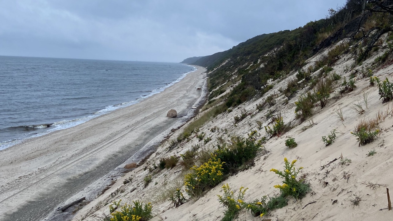 Photo of Others in Woodcliff Park