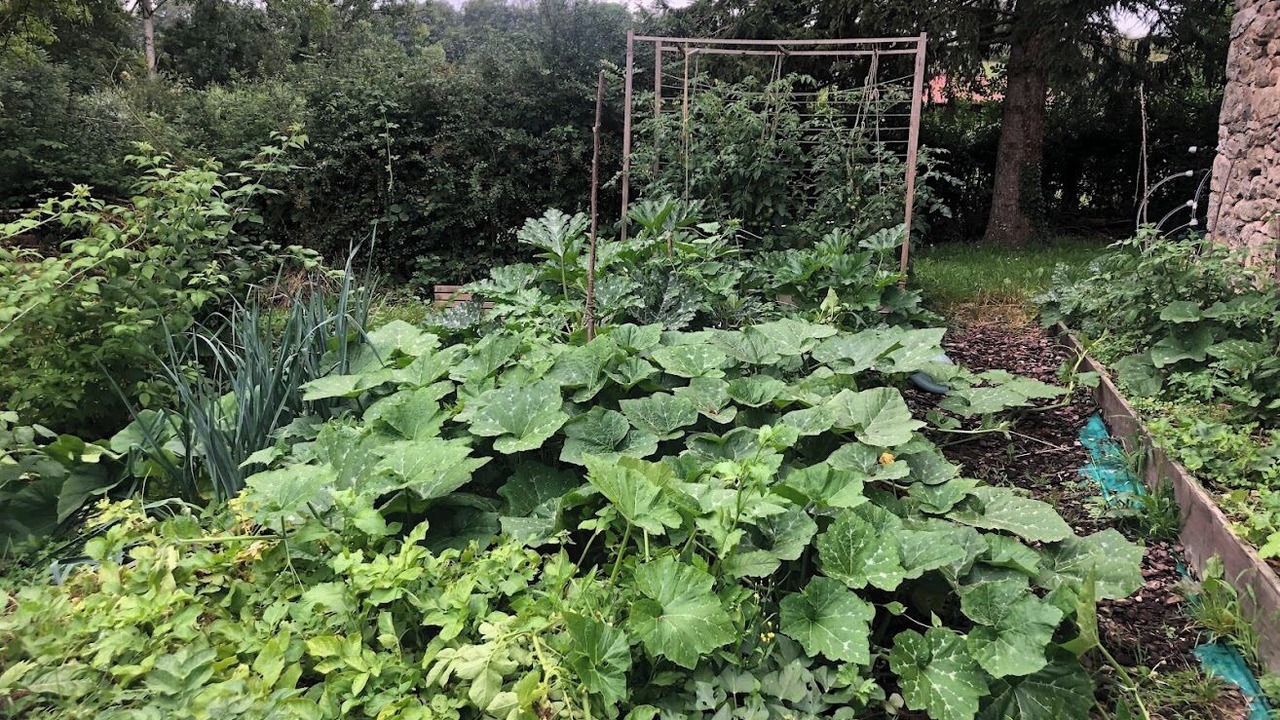 Photo of Outdoor in Saint-Germain-des-Champs