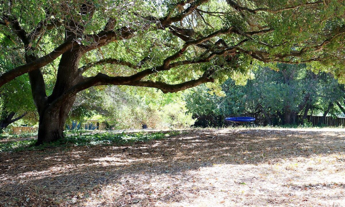 Photo of Outdoor in Bennett Valley