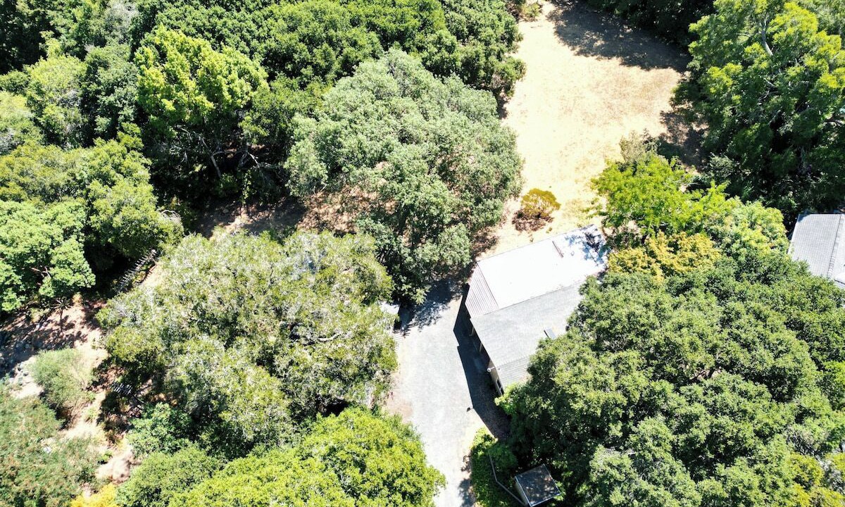 Photo of Others in Bennett Valley