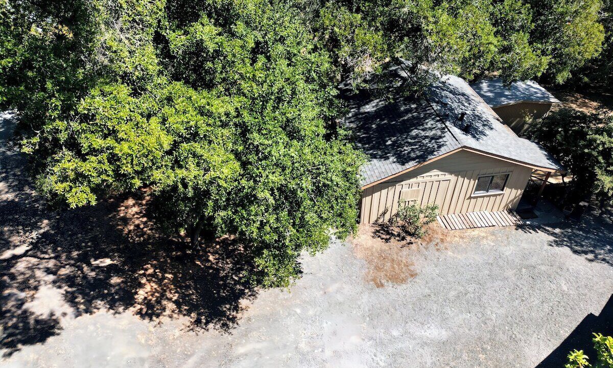 Photo of Others in Bennett Valley