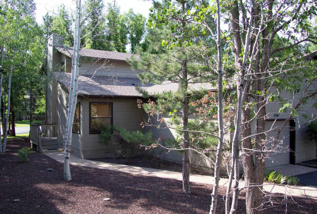 Photo of Outdoor in Pinetop