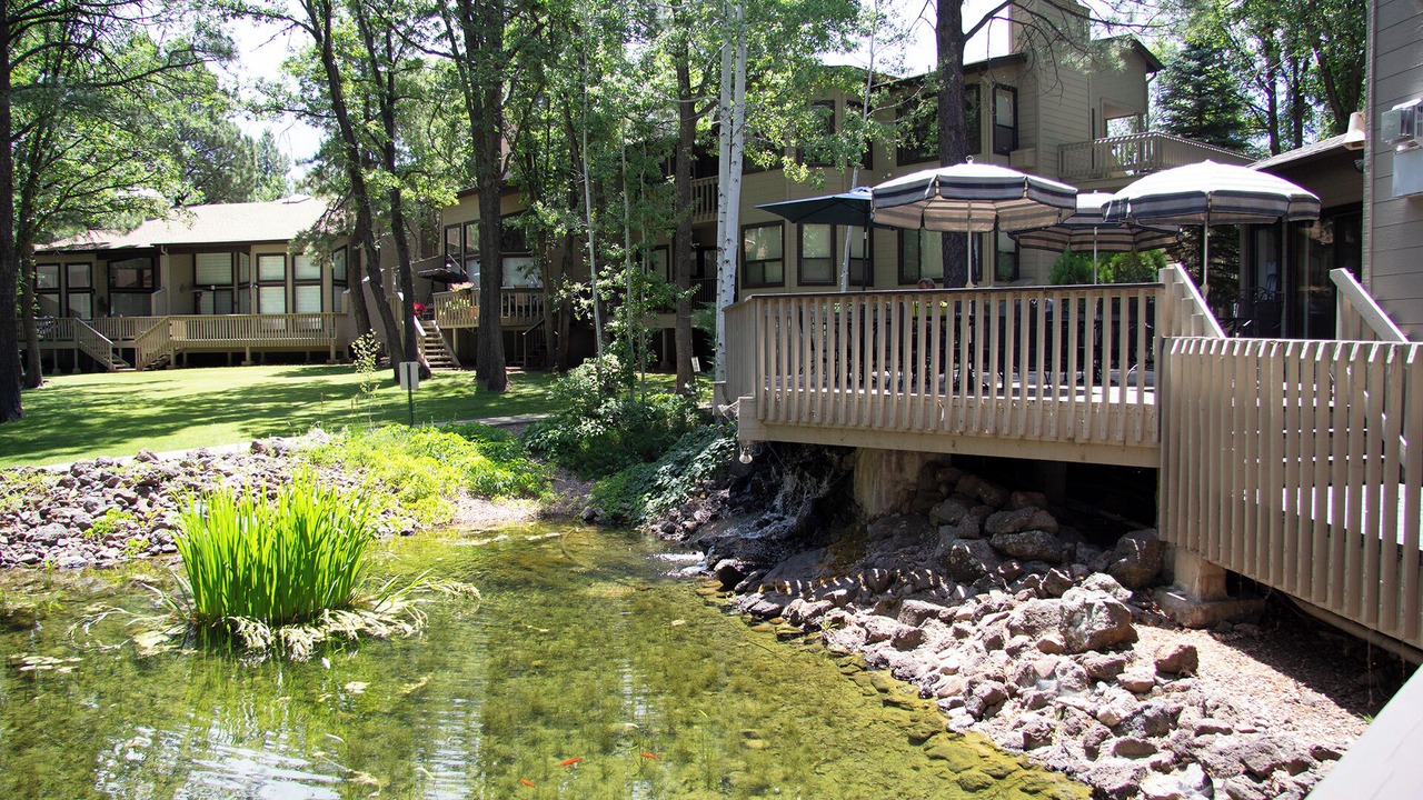 Photo of Others in Pinetop