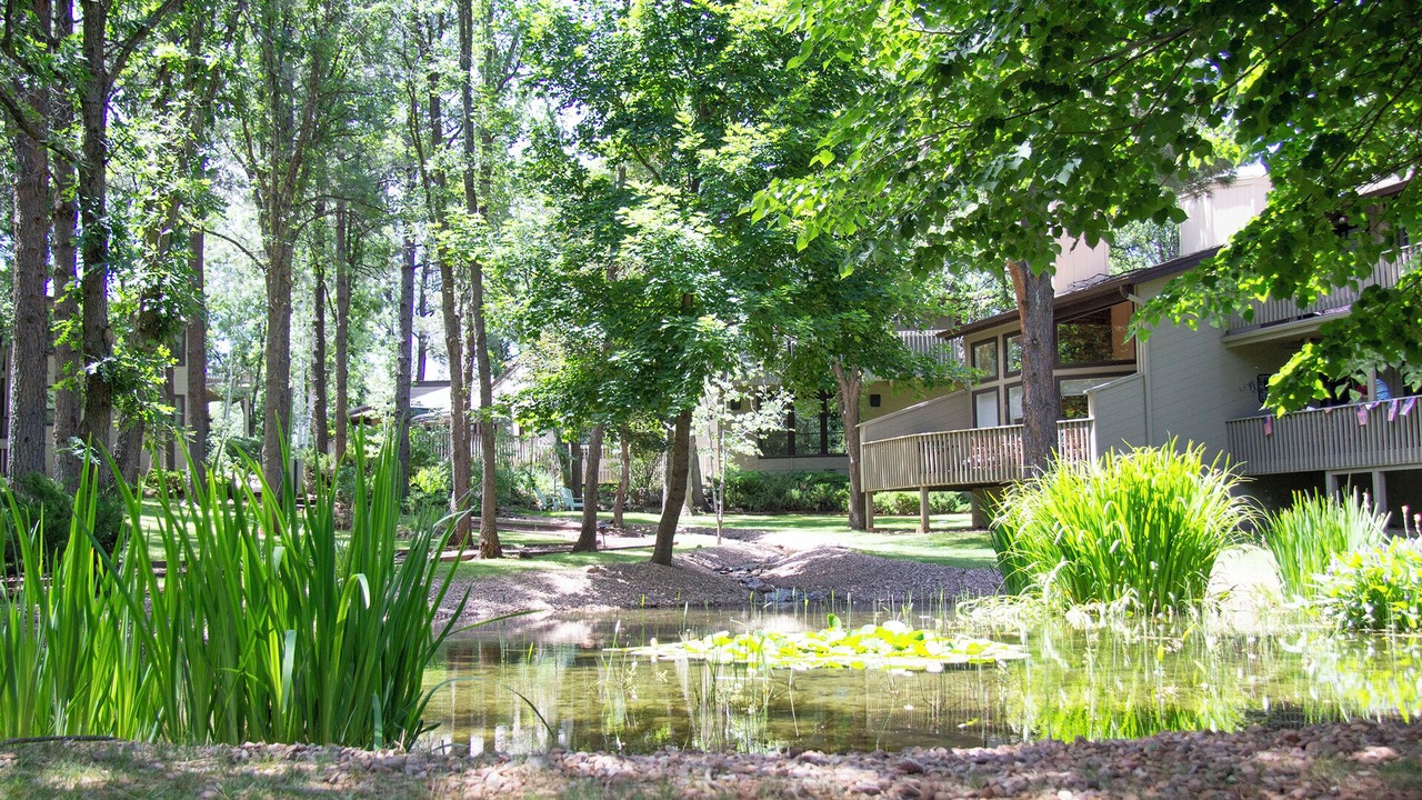 Photo of Outdoor in Pinetop