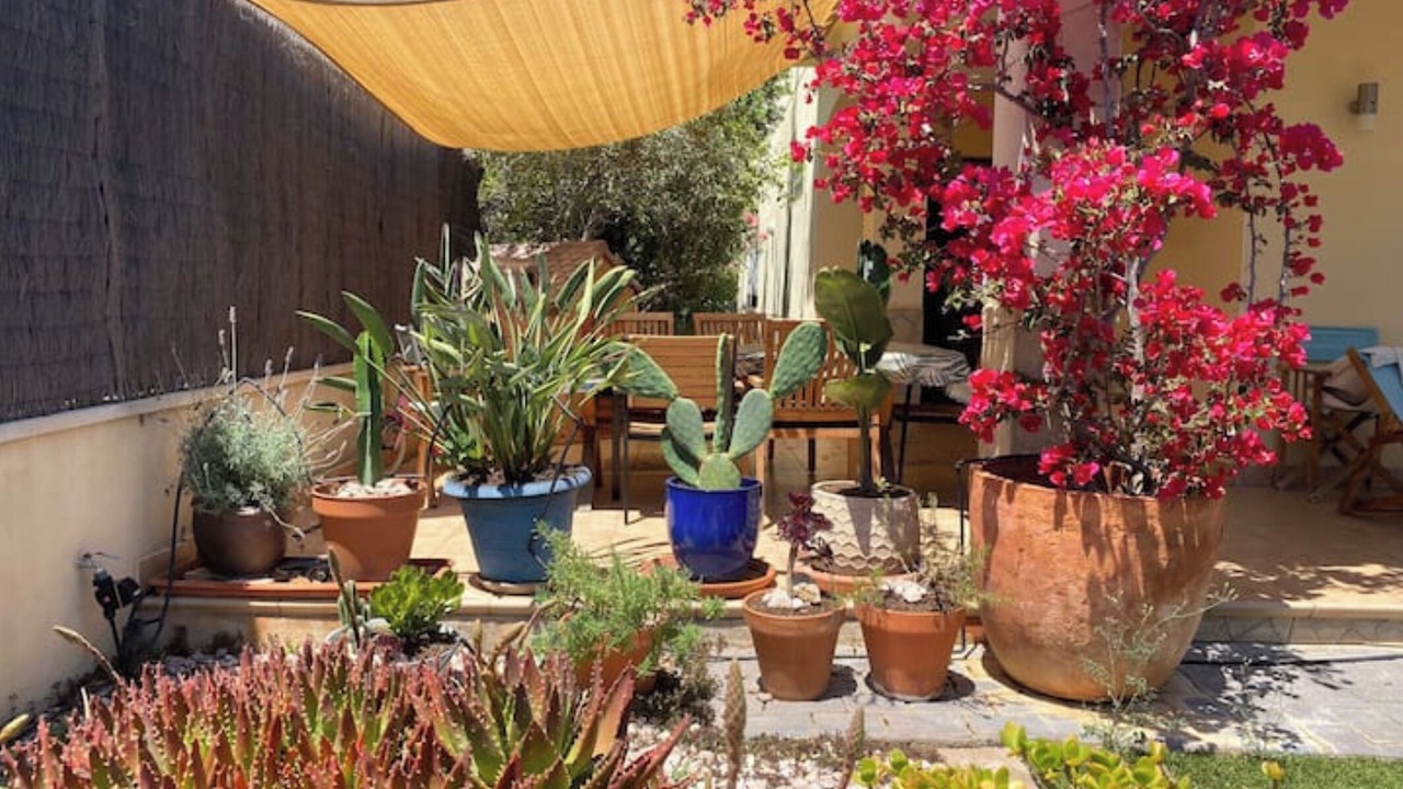 Photo of Patio Balcony in Olivella