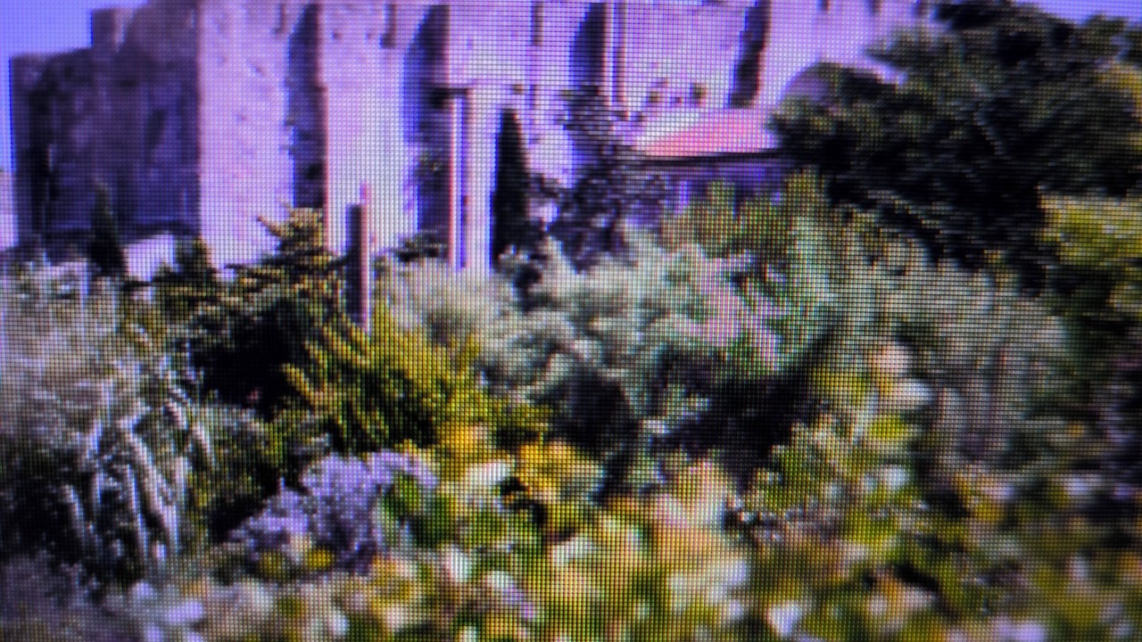 Photo of Others in Vic-la-Gardiole
