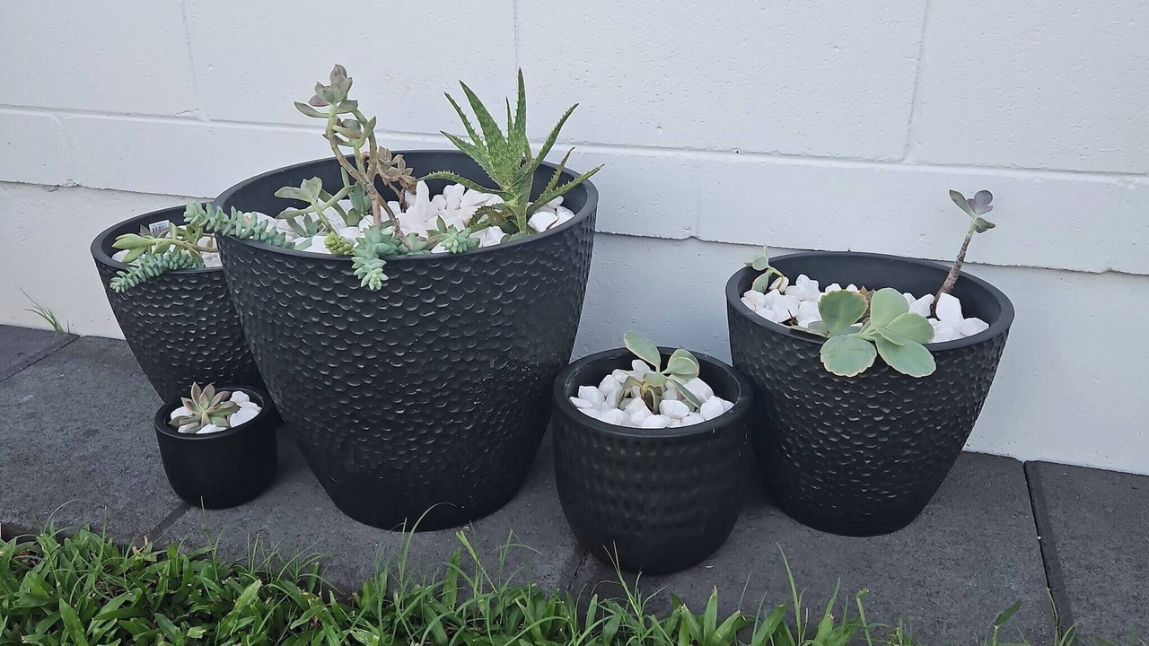 Photo of Outdoor in Kirwan