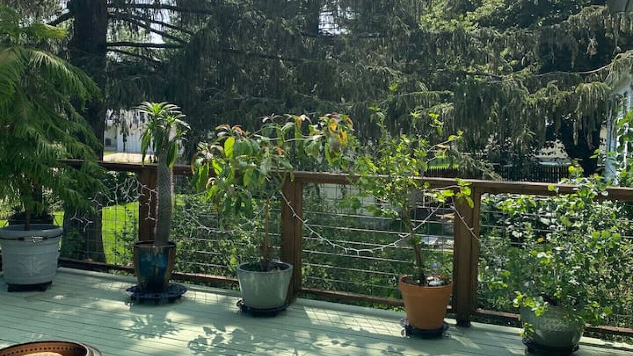Photo of Outdoor in Viroqua