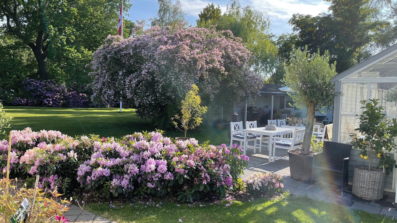 Photo of Outdoor in Hornbaek