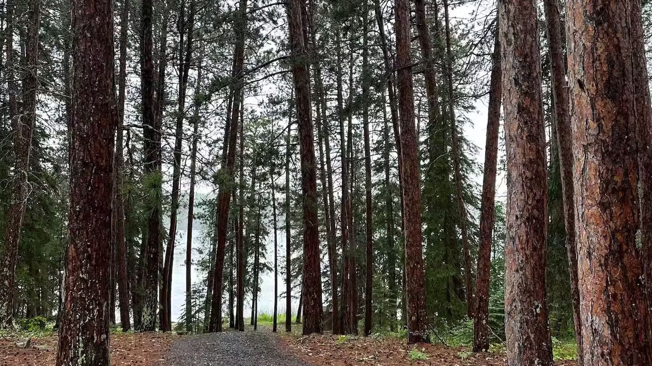 Photo of Others in Falcon Lake