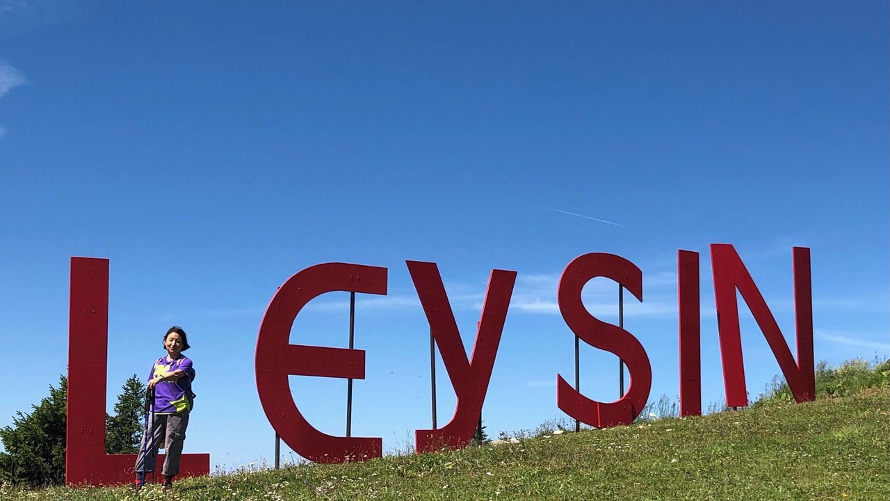 Photo of Others in Leysin