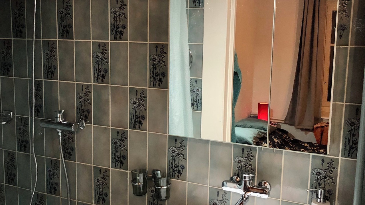 Photo of Bathroom in Leysin