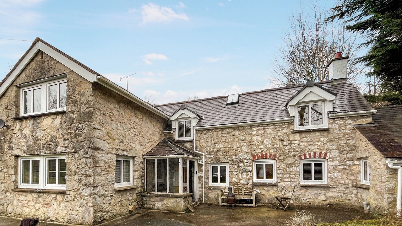 Photo of Others in Mold