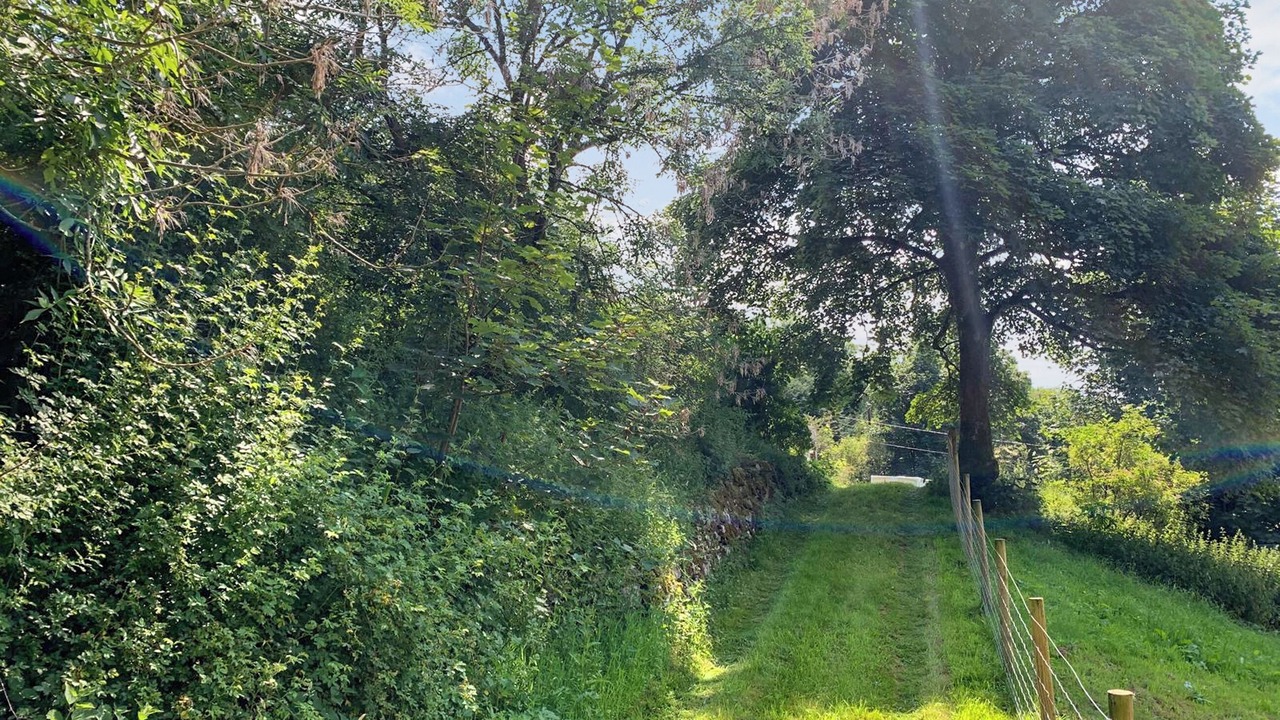 Photo of Outdoor in Mold