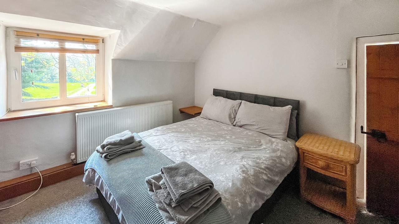 Photo of Others in Mold