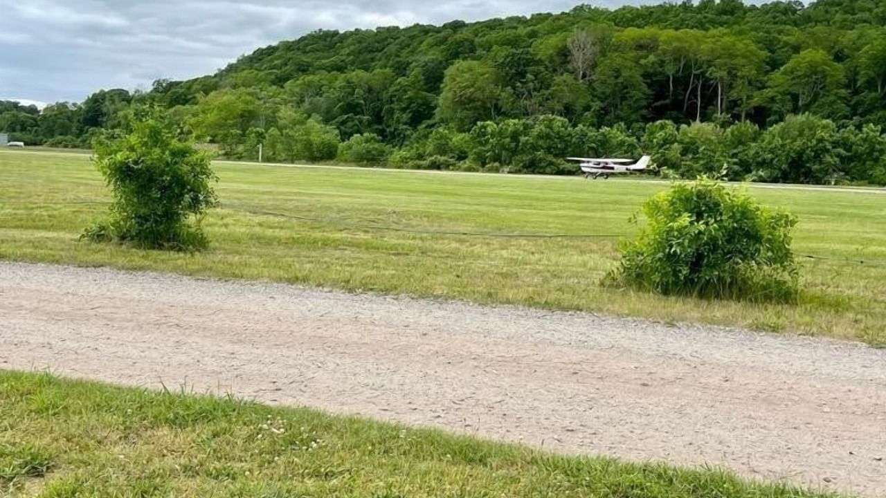 Photo of Others in East Shore