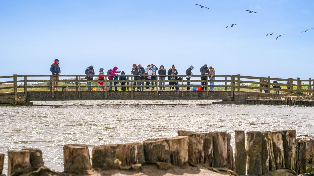 Photo of Others in Walberswick