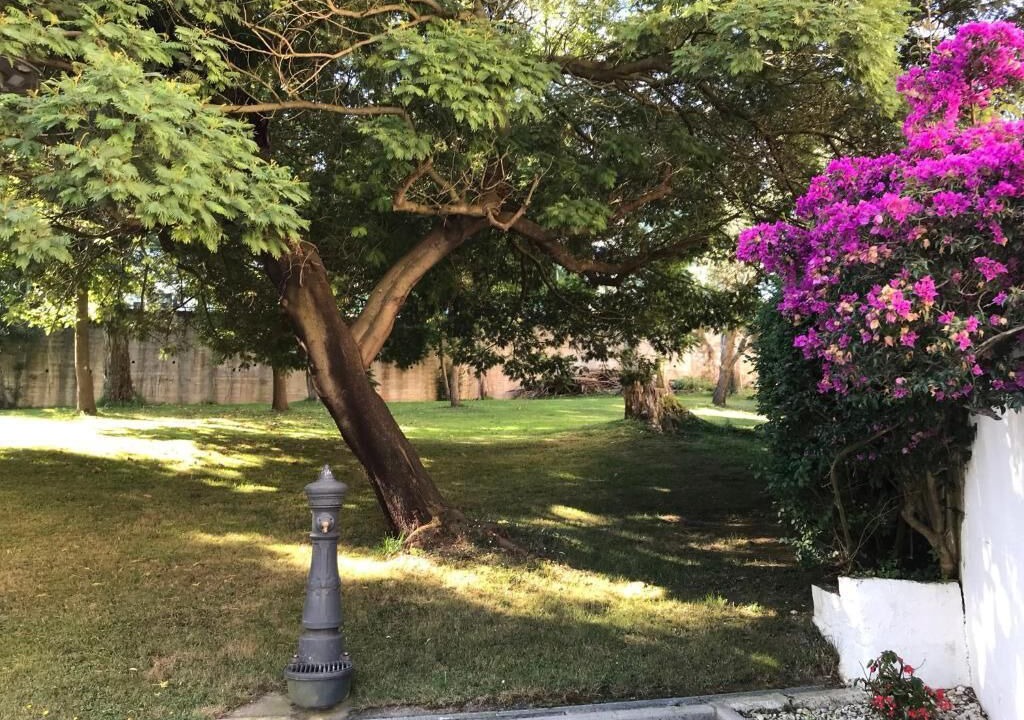 Photo of Outdoor in Santander