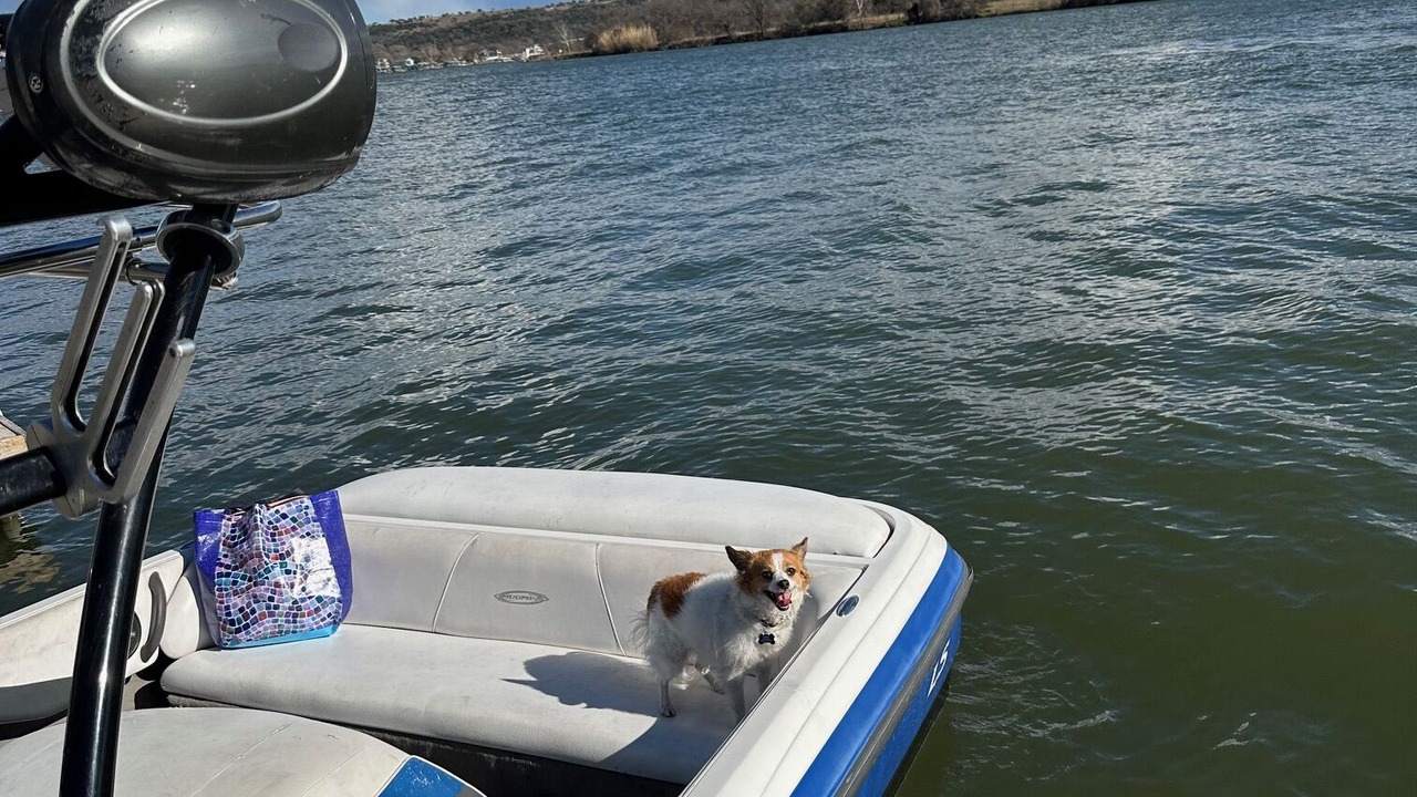 Photo of Others in Buchanan Dam