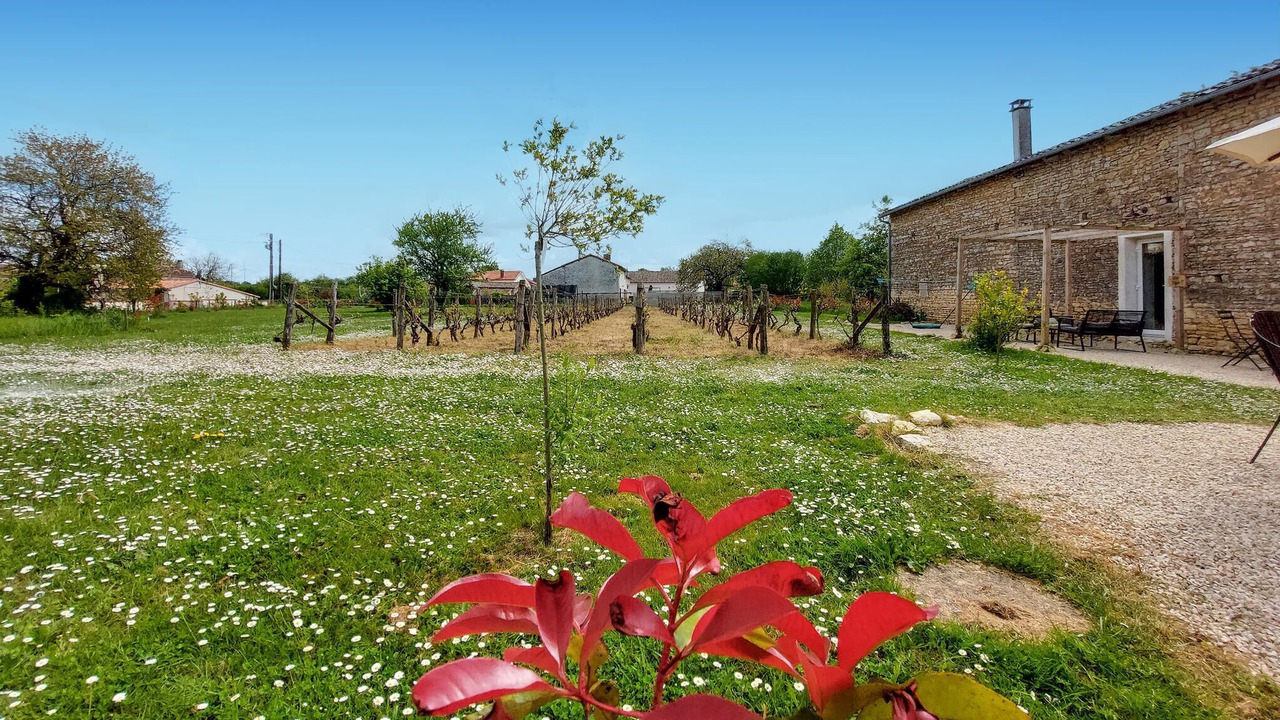 Photo of Others in Savigne