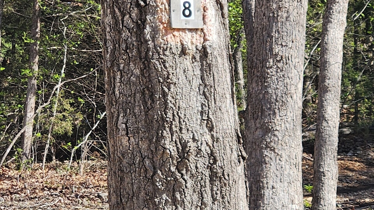Photo of Outdoor in Sunrise Beach