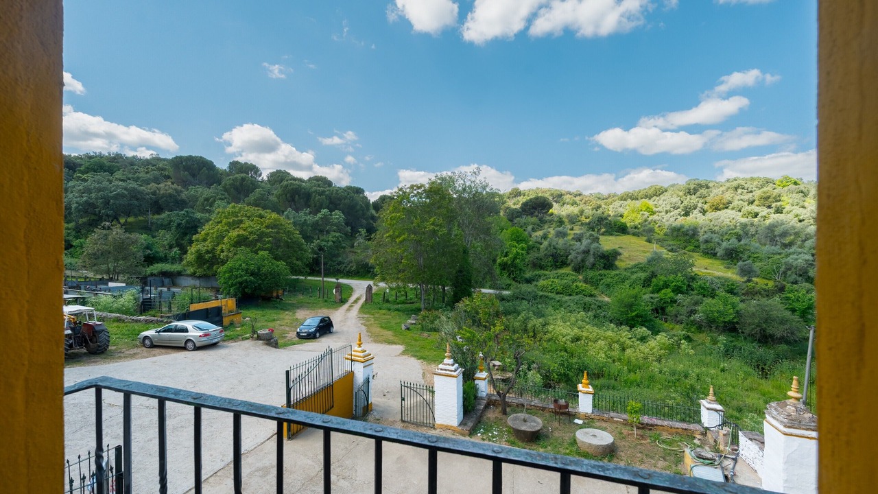 Photo of Outdoor in Constantina