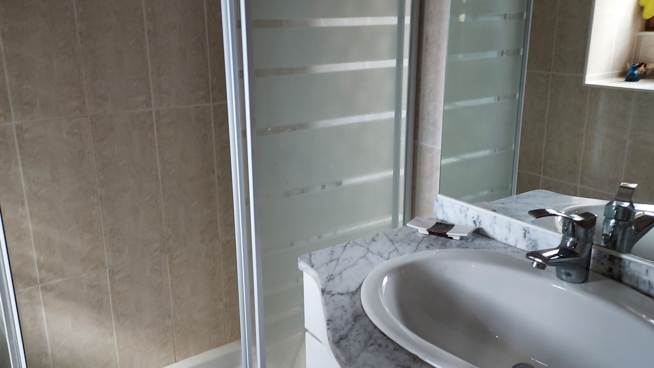 Photo of Bathroom in Saint-Genies