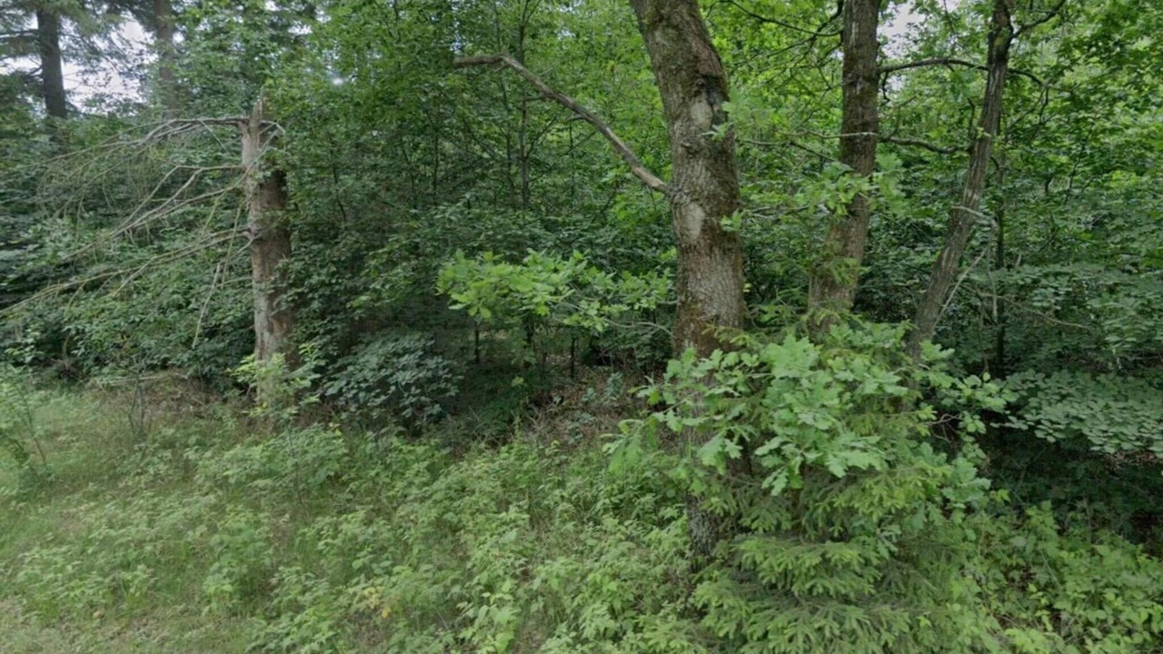 Photo of Others in Skaerbaek