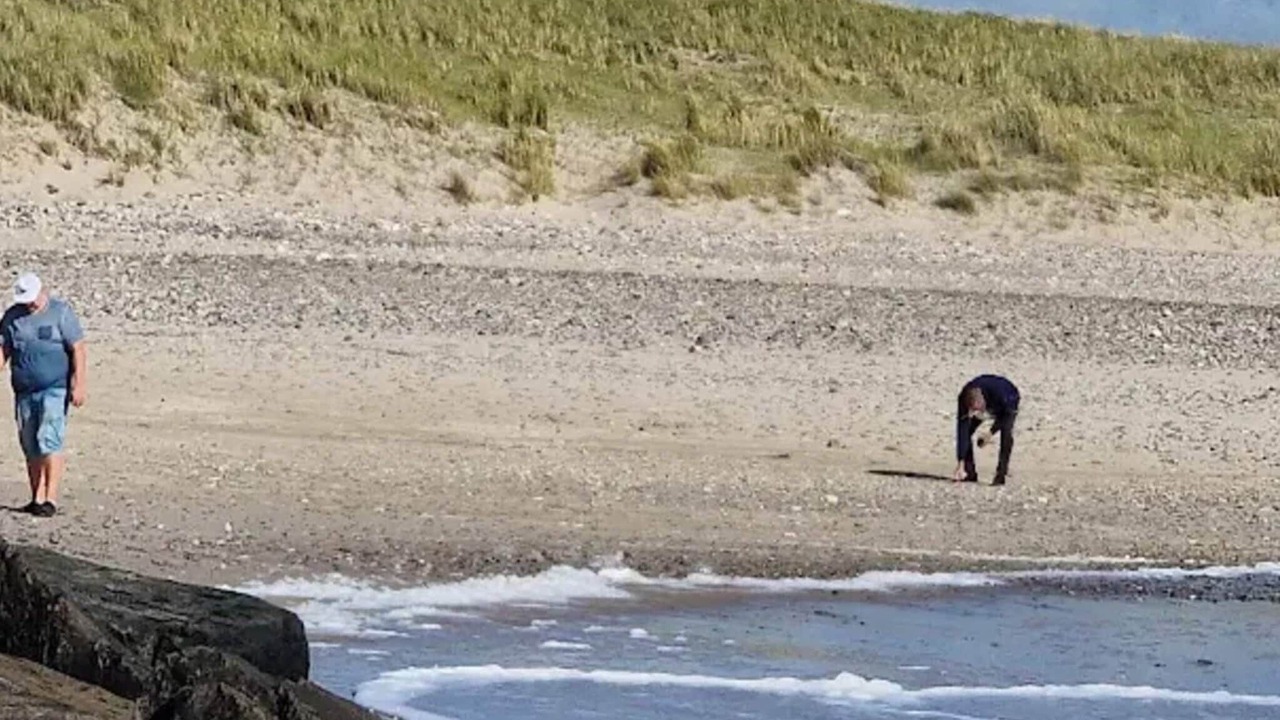 Photo of Others in Skaerbaek