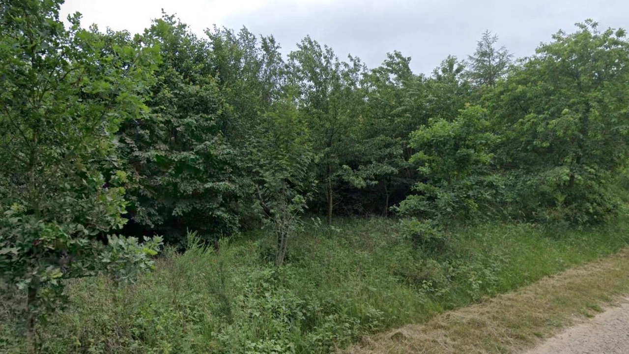 Photo of Others in Skaerbaek