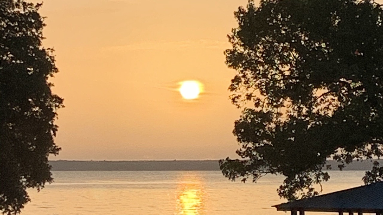 Photo of Others in West Livingston