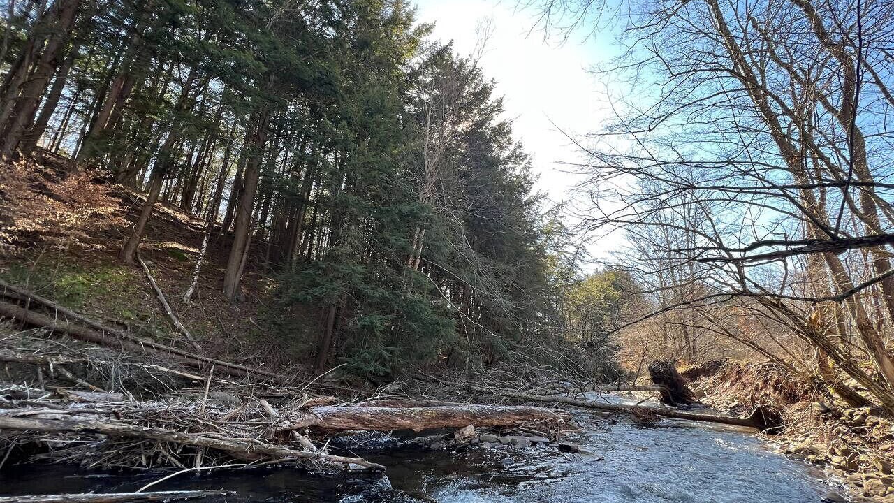 Photo of Others in Margaretville