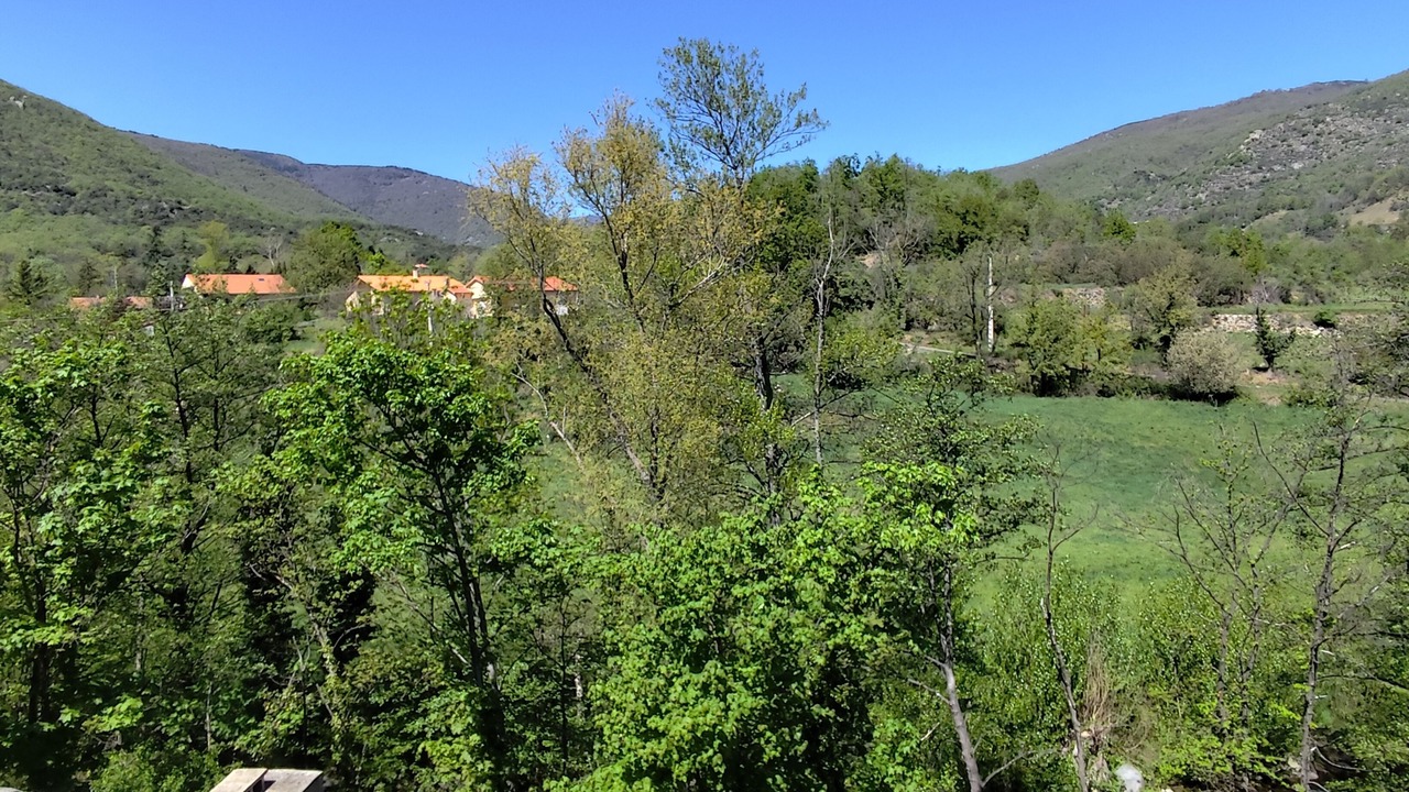 Photo of Others in Campome