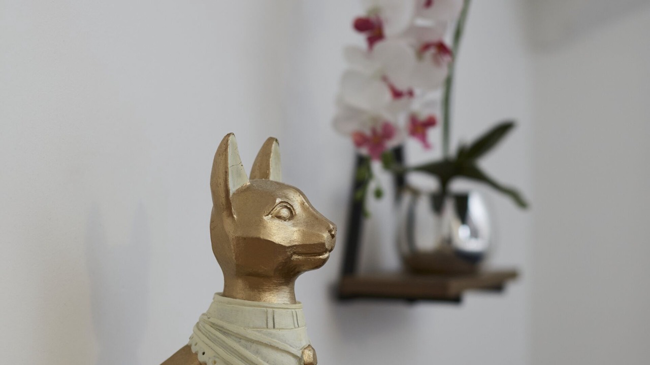 Photo of Others in Huddersfield